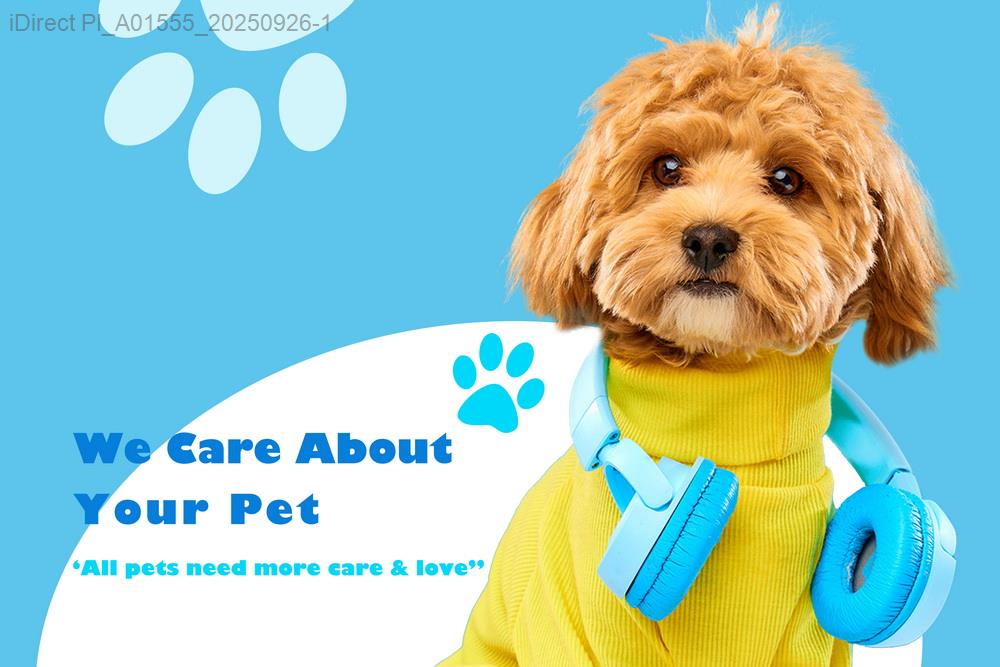 5款經濟實用的狗狗洗澡神器大比拼